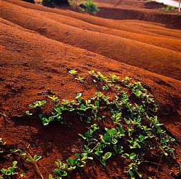 《我只想单身》登陆steam即将正式推出 反向约会模拟
